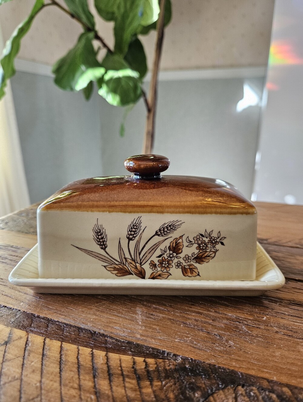 Vintage Ceramic Japanese Butter Dish
